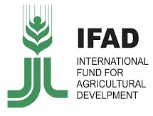 IFAD